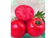 Айша F1 - томат детерминантный, May Seed (Турция) фото, цена